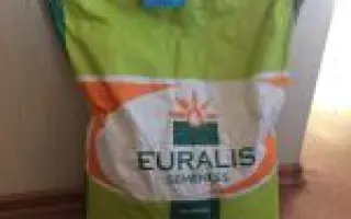 ES Bambina / ЕС Бамбіна