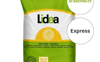 ES BOSTON SU / ЕС БОСТОН СУ