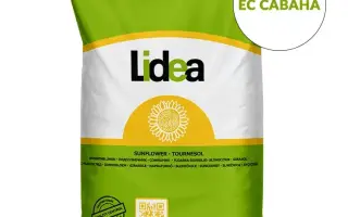 ES Havana / ЕС Гавана