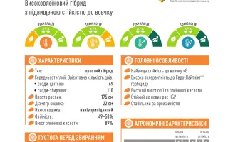 ES GRAFIC CL / ЕС ГРАФІК СЛ