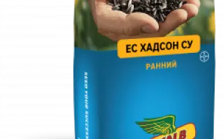 ES HUDSON SU / ЕС ГУДЗОН СУ