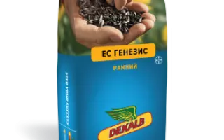 ES ELLENIS / ЕС ЕЛЕНІС