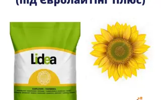 ES EMERIC / ЕС ЕМЕРІК