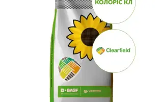 ES COLORIS CL / ЕС КОЛОРІС КЛ