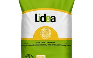 ES MEGAPOLIS CLP / ЕС МЕГАПОЛІС КЛП