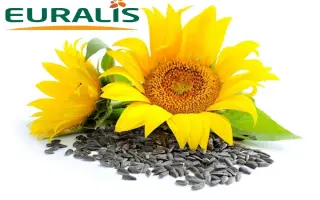 ES Petunia / ЕС Петунія