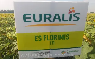 ES Florimis / ЕС Флоріміс
