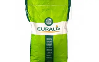 ES YANKIS CLP / ЕС ЯНКІС КЛП