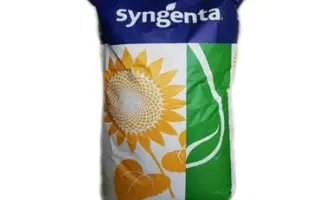 Estrada / Естрада