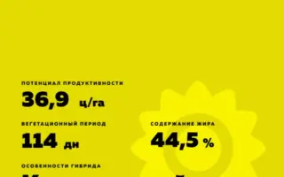 ZEPPELIN / ЗЕППЕЛІН