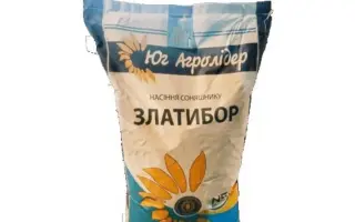 Zlatibor / Златибор