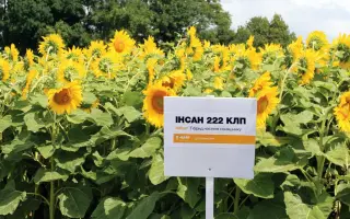 INSUN 299 SU / ІНСАН 299 СУ