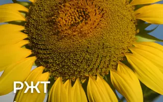 INTERSTELLAR / ІНТЕРСТЕЛЛАР