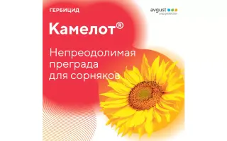 Камелот