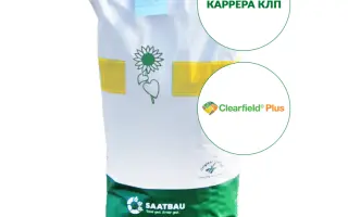 CARRERA CLP / КАРРЕРА КЛП