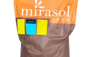 Castelo / Кастело