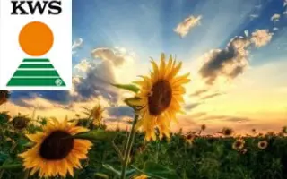 KWS KRIPTON / КВС КРИПТОН