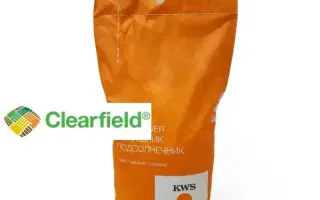 KWS CESARES CL / КВС ЦЕЗАРЕС КЛ