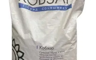 Kobzar / Кобзар