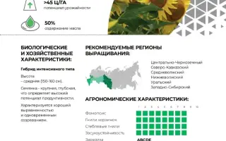 QC Bravo / КС Браво