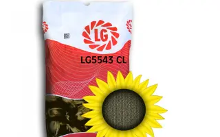 LG5543 CL / ЛГ5543 КЛ