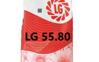 LG5580 / ЛГ5580