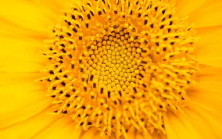 LID6038H CLP / ЛІД6038Х КЛП