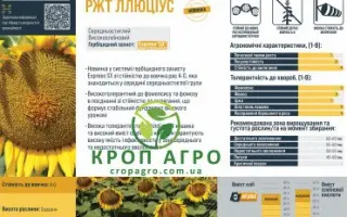 LLUCIUS / ЛЛЮЦІУС