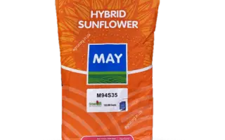 MAVRIX / МАВРІКС