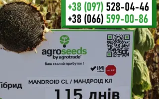 MANDROID CL / МАНДРОІД СЛ