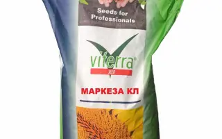 Marquesa CL / Маркеза КЛ