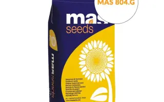 MAS 804G / МАС 804Ж