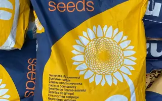 MAS 80IR / МАС 80ІР