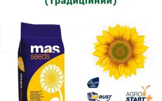 MAS 81K / МАС 81К