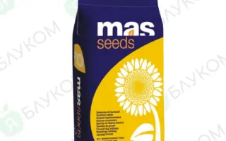 MAS 90F / МАС 90Ф