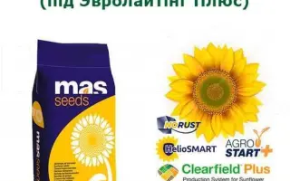 MAS 920CP / МАС 920КП