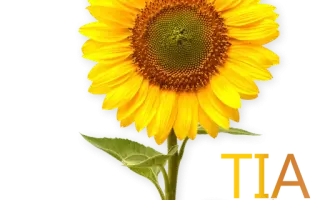 Mattia / Маттіа