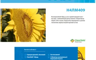 N4LM409 / Н4ЛМ409