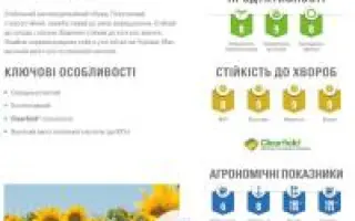 N4H413 CL / Н4Х413 КЛ