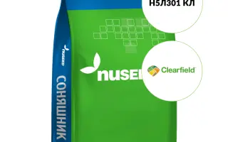 N5L301 CL / Н5Л301 КЛ