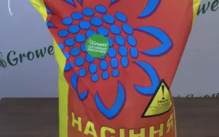 NA Lira / НА Ліра