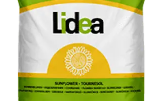 Neves CL / Невес КЛ