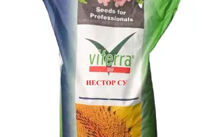 Neta SU / Нета СУ