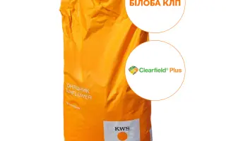 Nobillis CLP / Нобілліс КЛП