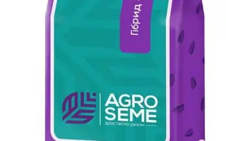 NS Goliat / НС Голіат