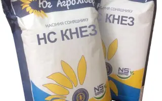 NS Knez / НС Кнез