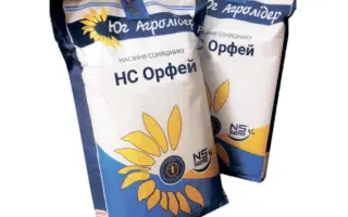 NS Orfej / НС Орфей