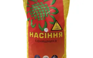 NS ROMEO / НС РОМЕО