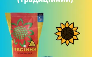 NS FALCON / НС ФАЛКОН