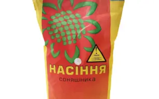 NS FANTAZIJA / НС ФАНТАЗІЯ